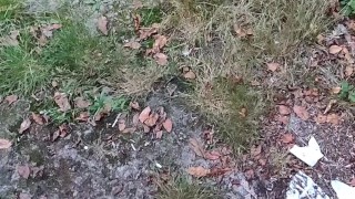 Found a cruising spot while biking. Waiting for somebody to come/cum