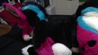 Shuly Hump (no sound)