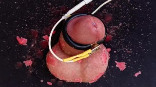 Hour long CBT session including balls slapping, hot wax play and e-stim teasing until cum leaks out
