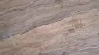 Damn this NUT!!! What would you do?