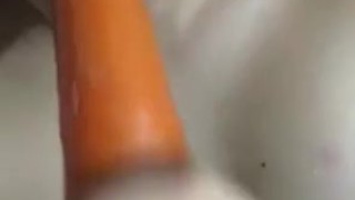 Me puse a chupar y meterme una zanahoria por mi apretado coñito antes de que mis papás lleguen