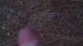 Handjob in the countryside | Paja en el campo