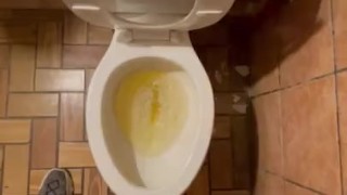 FedEx Guy takes a piss