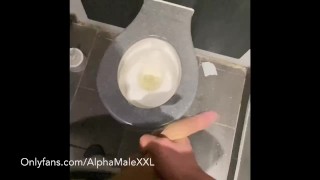 Straight Bloke Public Toilet 