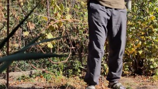 Autumn in the garden. Sunny day