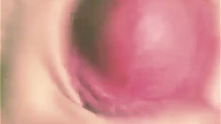 Precum Edging My Long Hard Cock