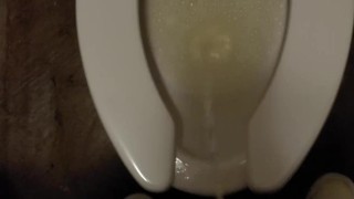 Midday Piss 