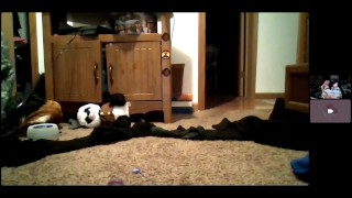 11 12 2021 sanna and rin