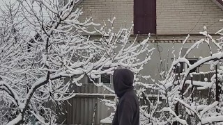 Winter in the garden