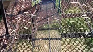 Visito la quinta NUDISTA escondida en MORENO!!! Reyna tour 💜 