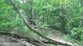 Angel Wicky Brazilian forest
