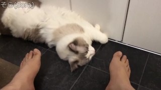 足元でセクシーな猫が寝ていました