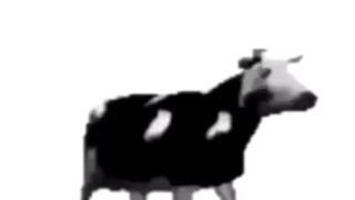 English polish cow dancing (reprised by me)