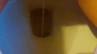 Hairy pussy peeing in toilet 