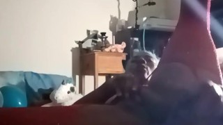 Happy Birthday To Me (new toy reveal part 2)Anal play