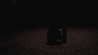 Training my slut wife in public park, blowjob and sucking dildo