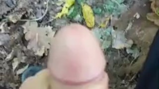 I JERK in forest