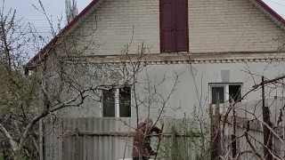 I'm not bored myself