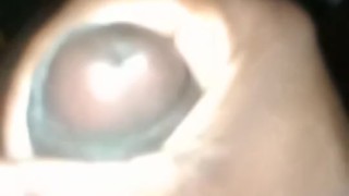 🤳🥒👍🍫🐢🌋wait for it