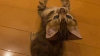 Watching her play in slowmotion.