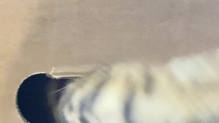 The restrained licks .