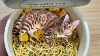 in places you never imagined.