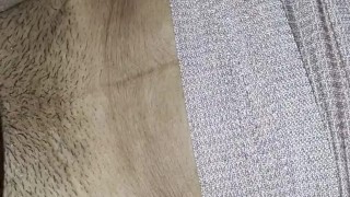 Le encanta que le dé duro.