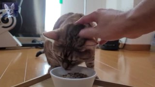 A Compilation of That Get You Excited