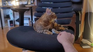 Playing with a Beloved .... 