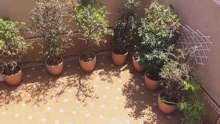 PISS from balcony on my Sexy Neighbor during her shower # Voyeur at neighbor exhibitionism