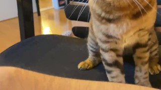 (Vertical Video) Filming  at home. 