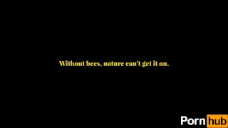 buuzzz buzz bee