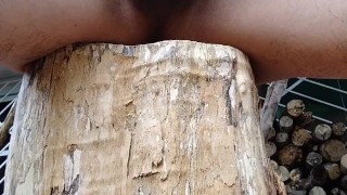 Me pajeo en el patio de mi casa