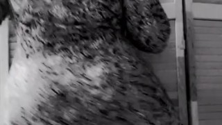 Quiere que le baile... 