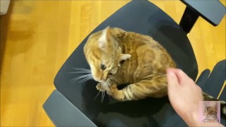 Stylish excited to get a massage. 