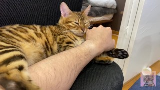 Incredibly beautiful with big tail 