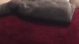 Milf creaming on dildo 