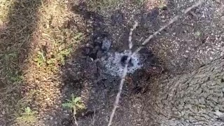Another public piss - sword fight
