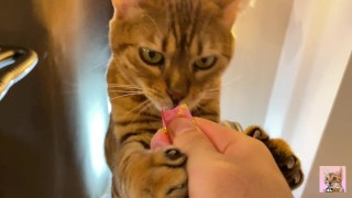 A comes up to me while I'm exercising on my aerobike  ... 