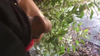 Handsome straight guy enjoys pissing outdoor under a sunny day 