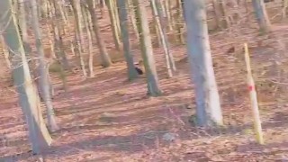 Slutboyben CAM4 Nympho Slut  in Public