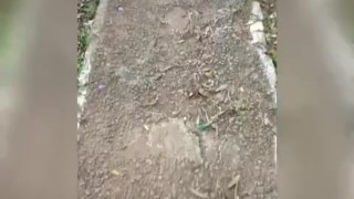 Atividade física 