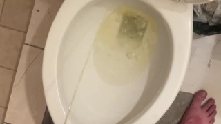 Piss into shared hostel toilet