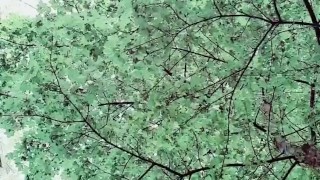 Slutboyben CAM4 Pornstar Exhibitionist in Public III
