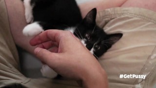 TINY PUSSIES INVOLVE THE CAMERA MAN WHILE PLAYING WITH EACH OTHER