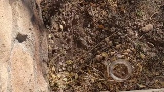 Pissing off my back porch with morning wood
