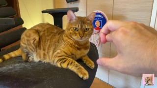 Normally, your energetic pussy is quiet when playing with you ... .