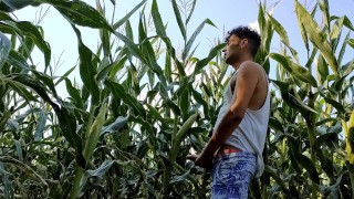 Summer jerk off in corn field - twitching cumming cock