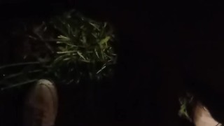 Moglie vogliosa mi fa una sega nel parco pubblico