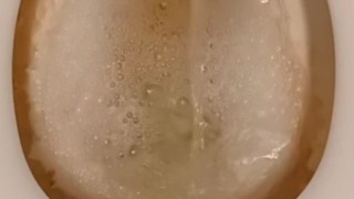 Dirty Toilet Pissing